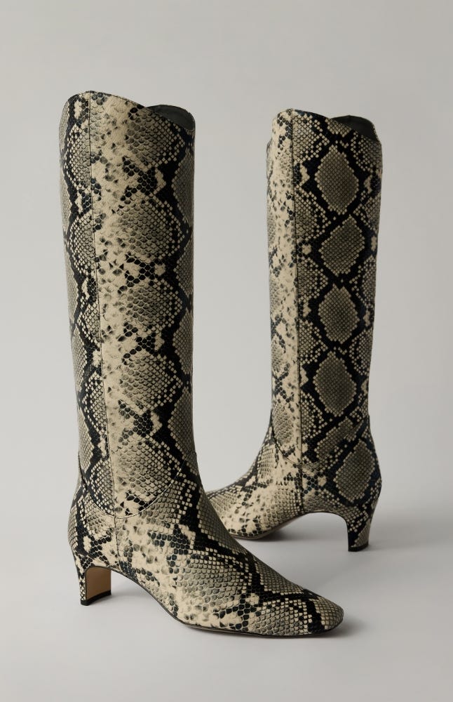 Mollini | Boots | Shop Now