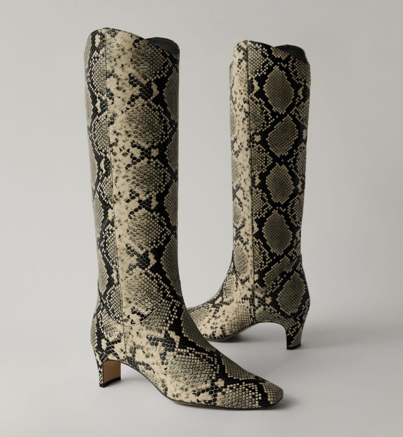 Mollini | Boots | Shop Now