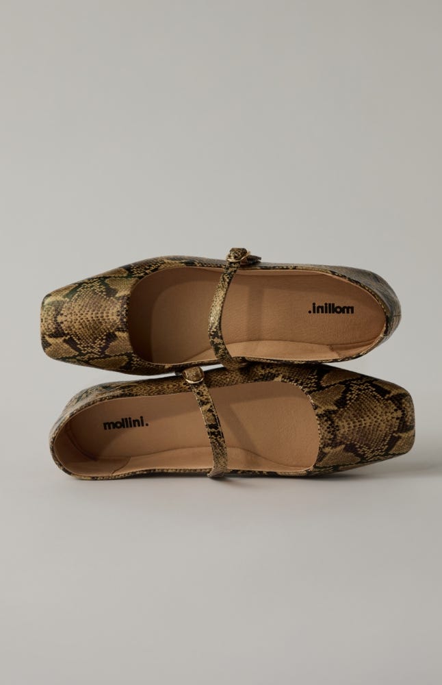 Mollini | FLATS | SHOP NOW