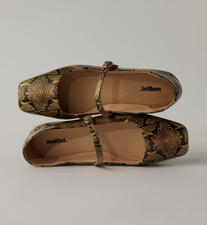Mollini | FLATS | SHOP NOW