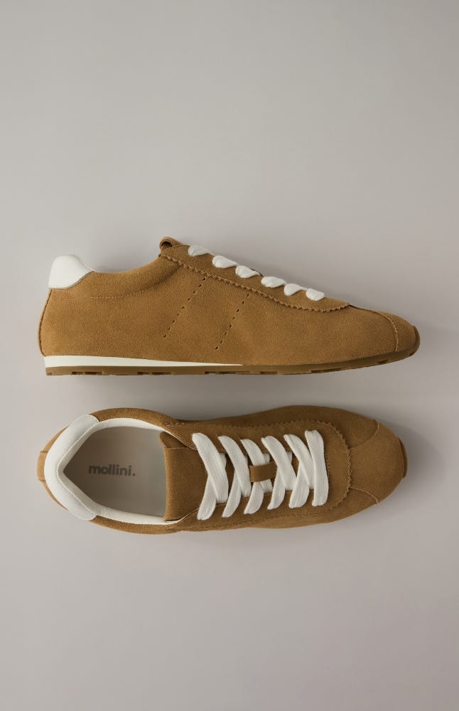 Mollini | SNEAKERS | Shop Now